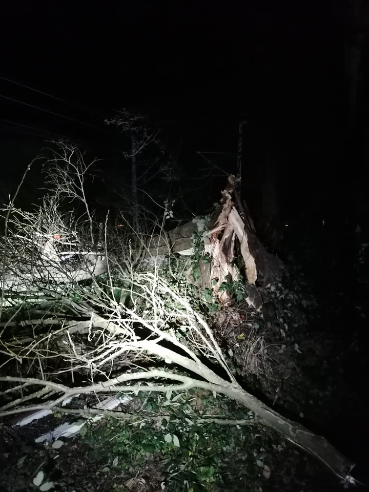 Sturm In Der Region Aachen Sorgt F R Zahlreiche Eins Tze Aachener Zeitung